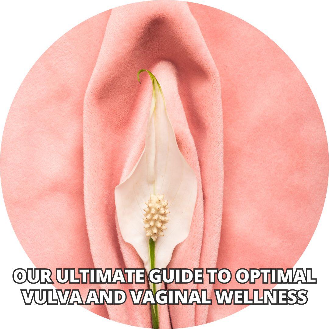our Ultimate Guide to Optimal Vulva and Vaginal Wellness - Wands of Lust Co
