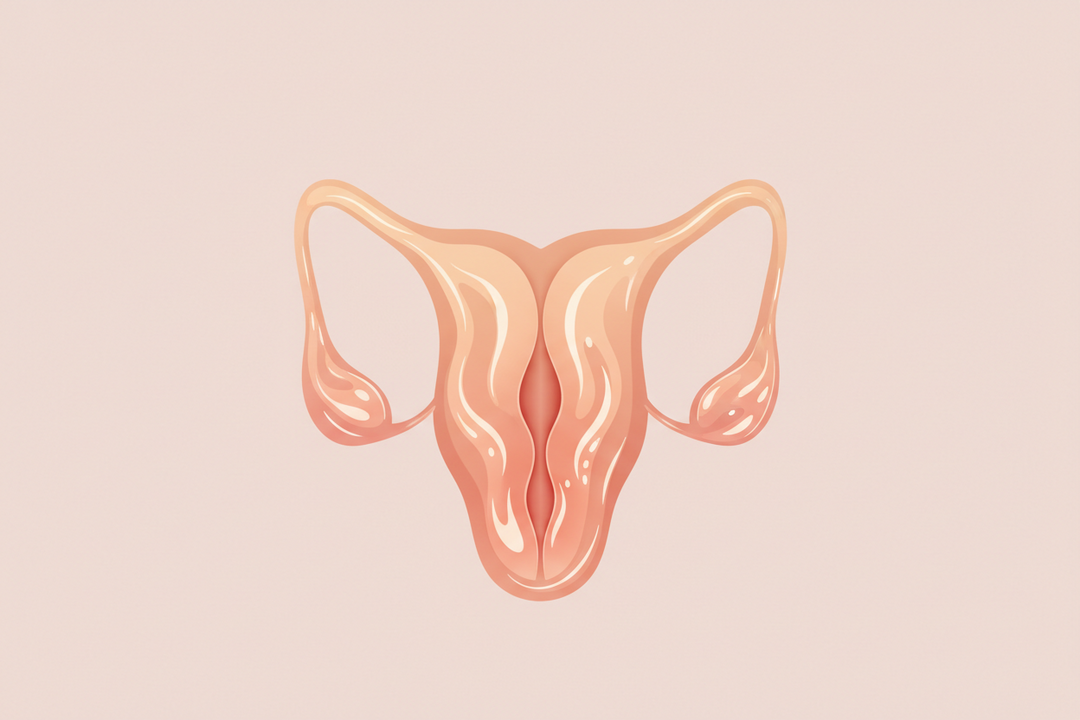 Vulva Oil Aftercare That Actually Feels Good with Gaiae