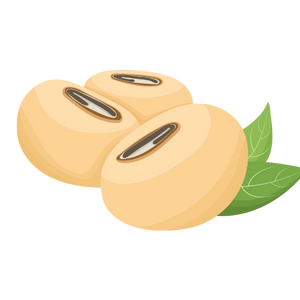 Gaiae_Bloom_oil Soybean