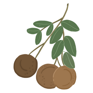 Gaiae Byebye Prickles copaiba_balsamngredients