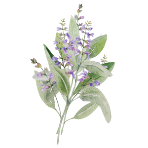 Gaiae Essential oil blends ingredients