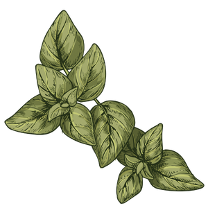 Gaiae Essential oil blends ingredients