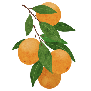 Gaiae Essential oil blends ingredients