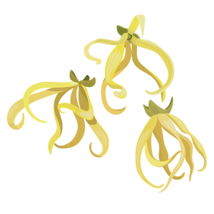 Gaiae Essential oil blends ingredients