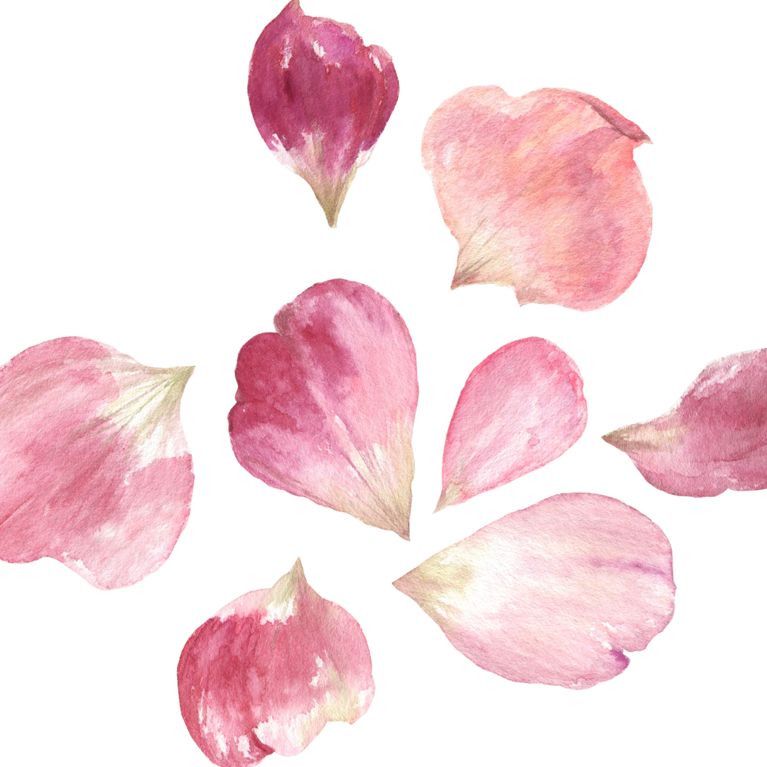 Gaiae Natural Yoni oil ingredients Botanicals