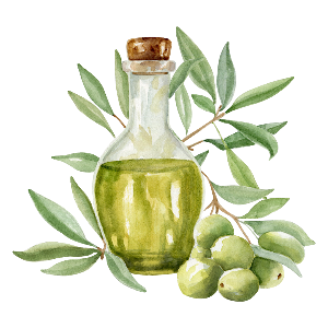 Gaiae Natural Yoni oil ingredients Olive_Oil