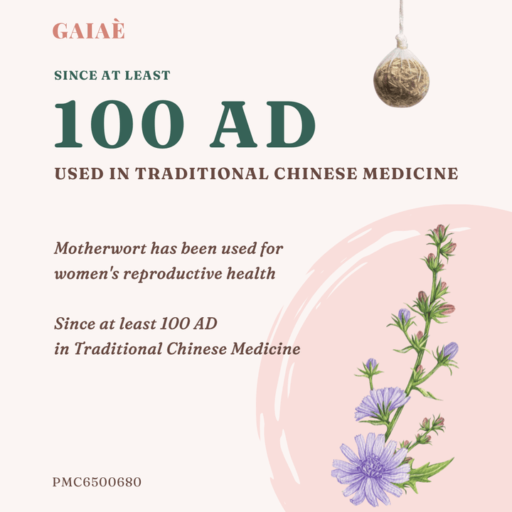 GAIA® branding with traditional Chinese medicine text and motherwort illustration on a white background Gaiae_Yoni_Pearls_Beneefits