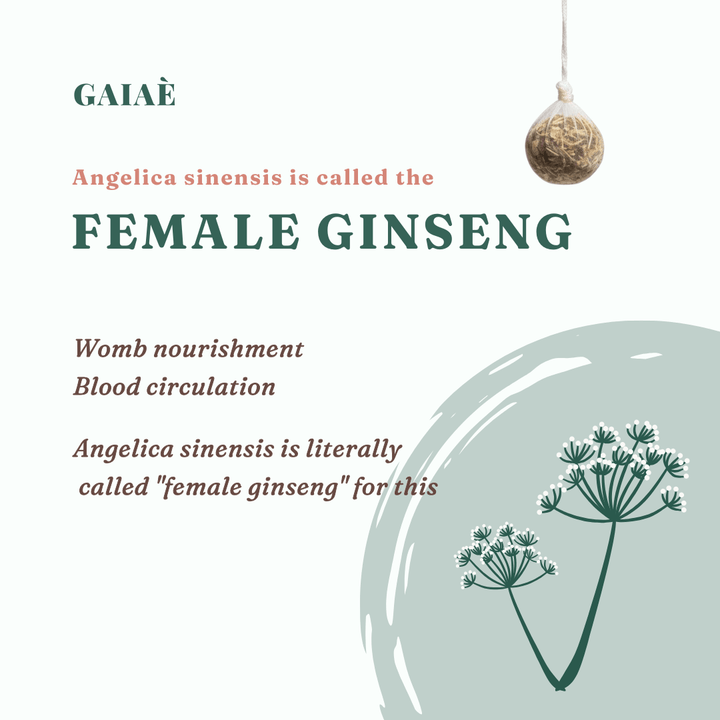 Advertisement for Gaiaé's female ginseng with text and a plant illustration on a light green background. Gaiae_Yoni_Pearls_Beneefits