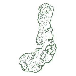 Gaiae Yoni pearl ingredients