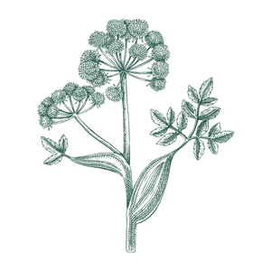 Gaiae Yoni pearl ingredients