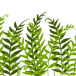 Gaiae Yoni pearl ingredients