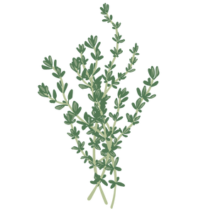 Gaiae Essential oil blends ingredients