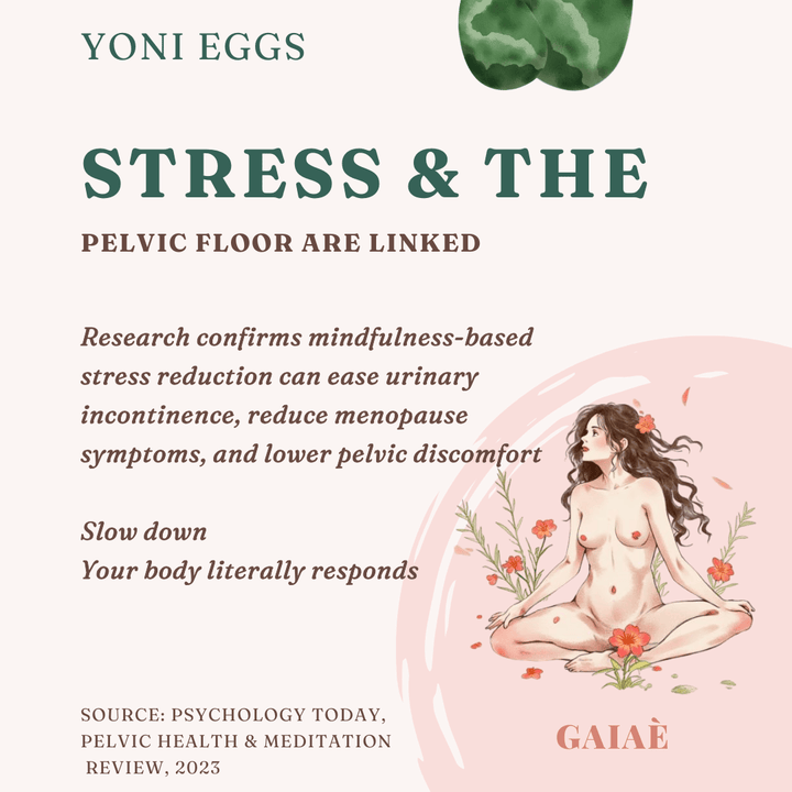 Stress & the
Source: Psychology Today,
Pelvic Health & Meditation
 Review, 2023
pelvic floor are linked
Research confirms mindfulness-based stress reduction can ease urinary incontinence, reduce menopause symptoms, and lower pelvic discomfort

Slow down
Your body literally responds
yoni eggs