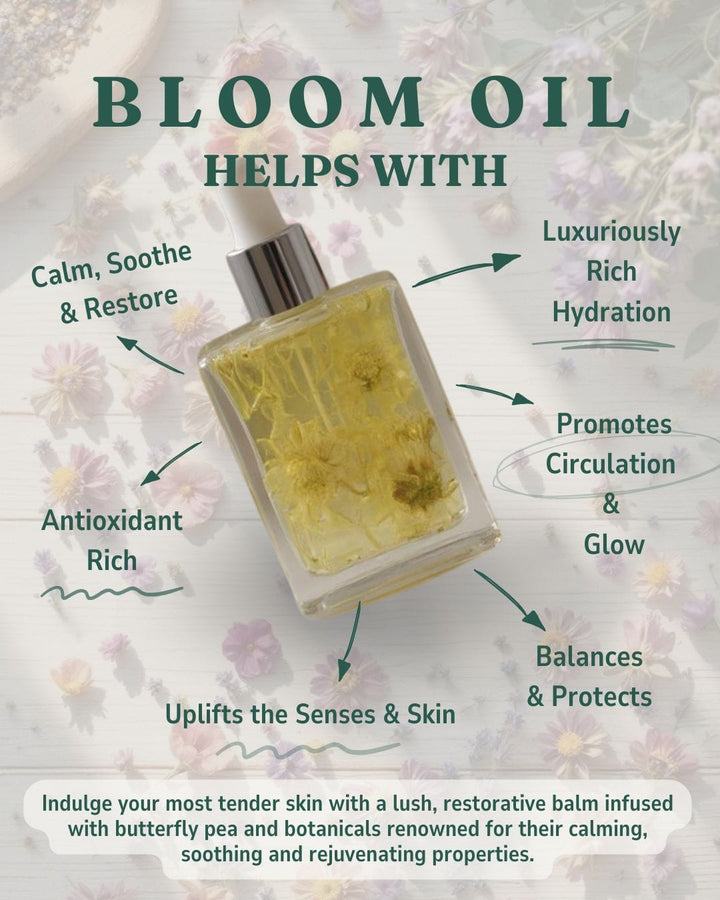 Gaiae Botanical Body Oil Sensual Massage Butterfly pea flower natural body ritual celestial bloom Gaiae Sacred Body Oil • Bloom Botanical Massage • Chrysanthemum • Botanical Ritual • Heart Opening Blend