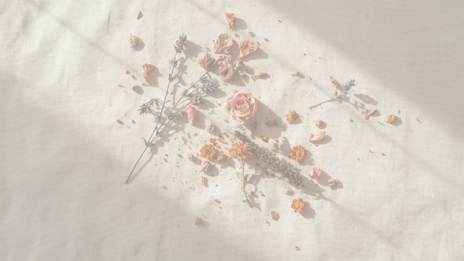 Decorative arrangement of flowers and branches on a textured surface with soft lighting. the_ritual_library_Feminine_Wellness_Yoni_Care_Blog_Embodied_Earth_Journal